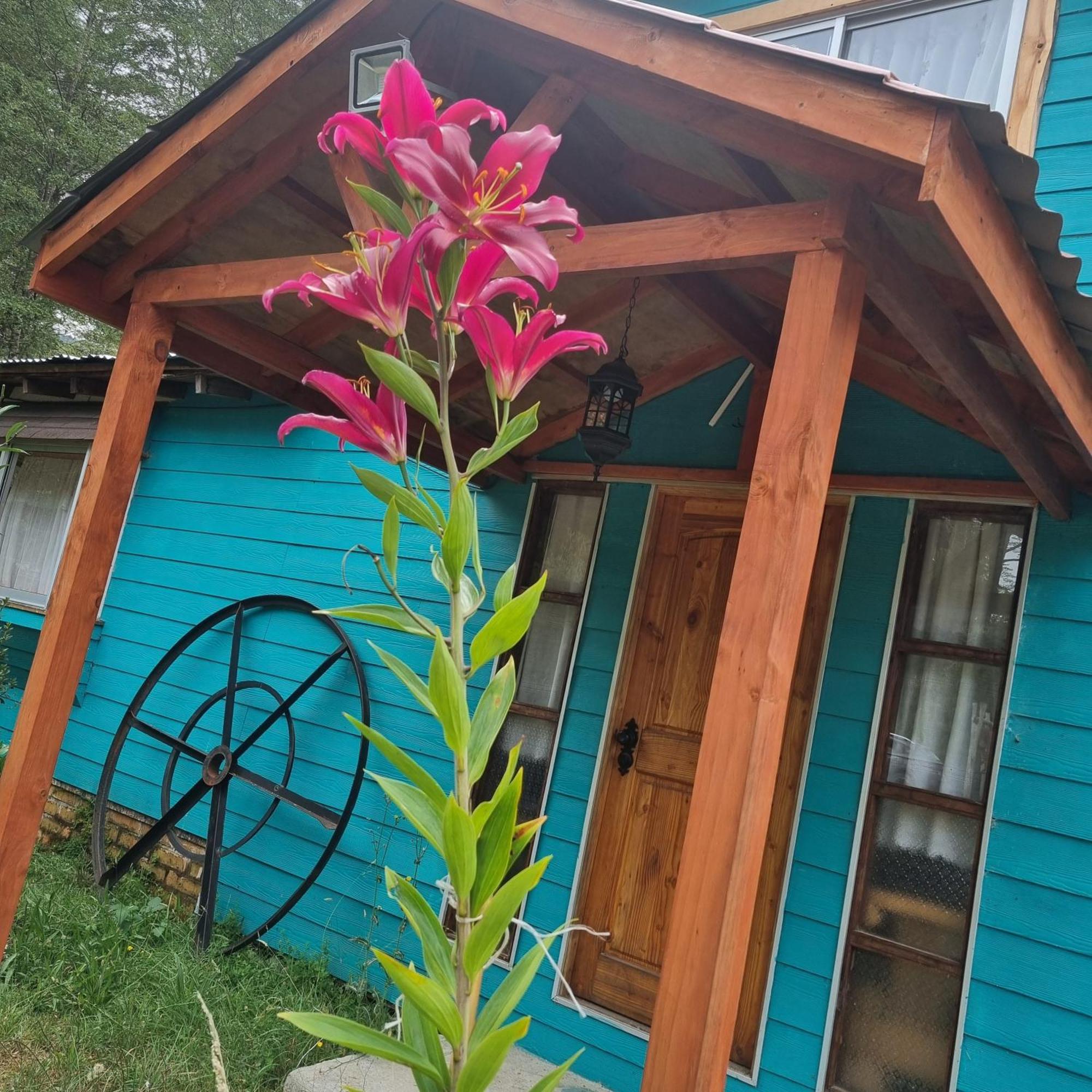 Cabanas Jade Cochamo Ngoại thất bức ảnh